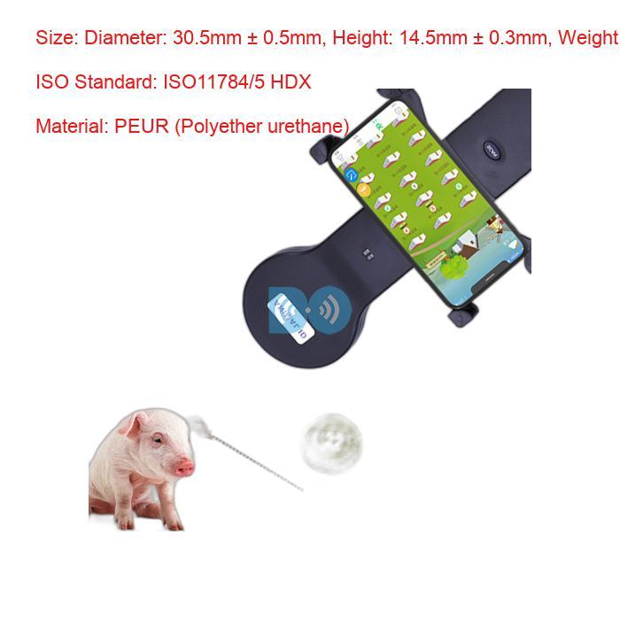 Effortless Livestock Management With Electronic Ear Tags Livestock Ear Tags A Game-Changing Technology Manufacturer
