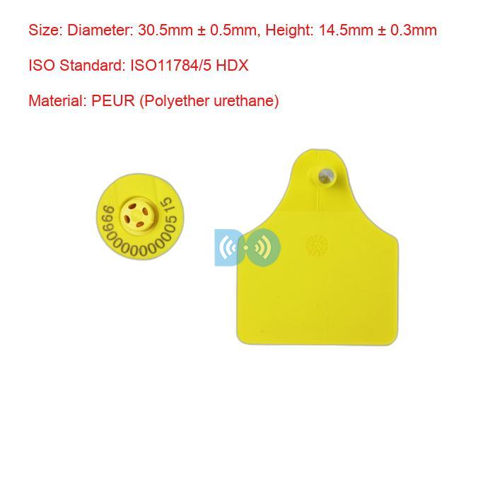 Upgrade Your Livestock Management System With Electronic Ear Tags HDX Cattle Ear Tags Custom Manufacturer