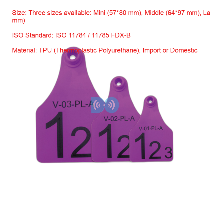 Purple Re-use Male Electronic Ear Tags Factory for Divisional Management of Animals
