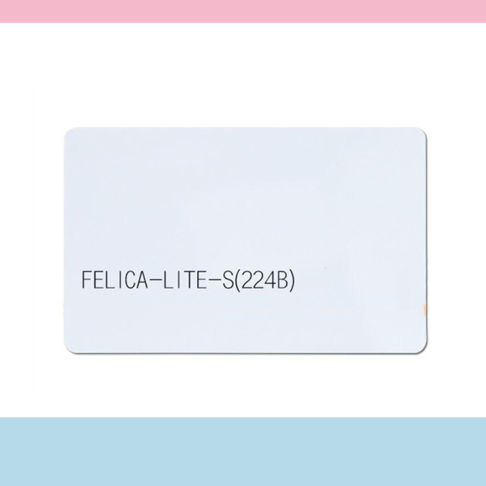 Blank chip card  